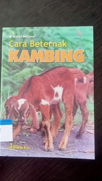 Cara beternak kambing