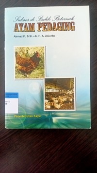 Sukses di balik beternak ayam pedaging