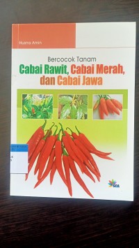 Bercocok tanam cabai rawit, cabai merah, dan cabai jawa