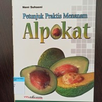 Petunjuk praktis menanam alpokat