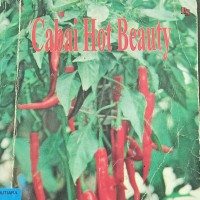 Cabai hot beauty