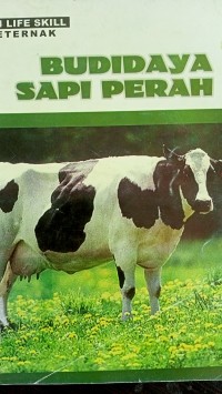 Budidaya sapi perah