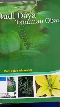 Budi daya tanaman Obat