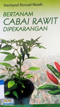 Bertanam cabai rawit di pekarangan
